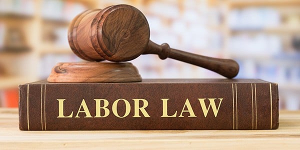 Image of Labor Law book with a gavel on top. 