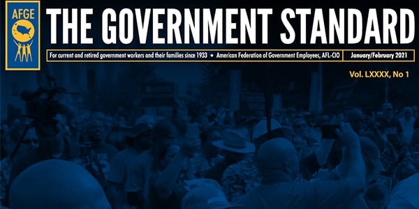 Cover of Government Standard