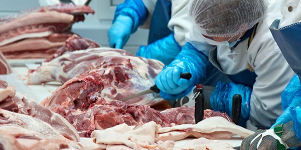 Workers inspecting meat