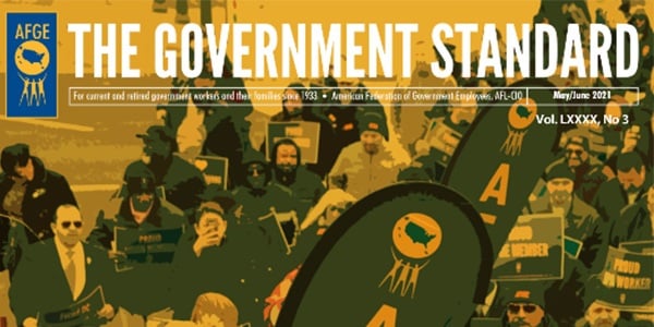 Cover of Government Standard