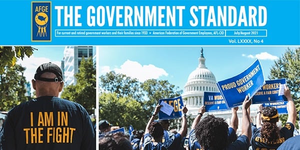 Cover of Government Standard