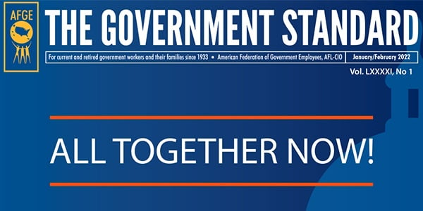 Cover of Government Standard