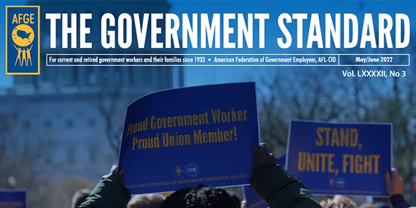 Cover of Government Standard